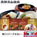 ハンバーグ ギフト 国産 カレーセット 詰め合わせ 飛騨高山牧場 焼き ハンバーグ ビーフカレー レストラン メッセージカード作成無料 写真 入り グルメ セッ...
