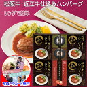 ハンバーグ ギフト 国産 松阪牛 近江牛 詰め合わせ メッセージカード作成無料 レトルトパック レンジでチン グルメ セット 内祝い 出産内祝い 結婚内祝い 御...