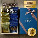 【ガトーショコラ食べ比べ10個入ギフト】 送料無料 手土産 ご挨拶ギフト 内祝 出産祝い ハート型 個包装 高級 誕生日プレゼント 生チョコ お祝い 洋菓子 退職 引越 入学 卒業祝い 母の日 父の日 お中元 お歳暮 バレンタイン 義理チョコ 配りチョコ ホワイトデー