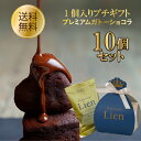 【10個セット プレミアムガトーショコラ1個入りプチギフト】 送料無料 ハロウィン クリスマス 高級 個包装 ハートおしゃれ かわいい 誕生日 結婚式プチギフト お菓子 女性向け 入学 卒業 退職 ご挨拶 バレンタイン配りチョコ 義理 イベント ホワイトデーお返し