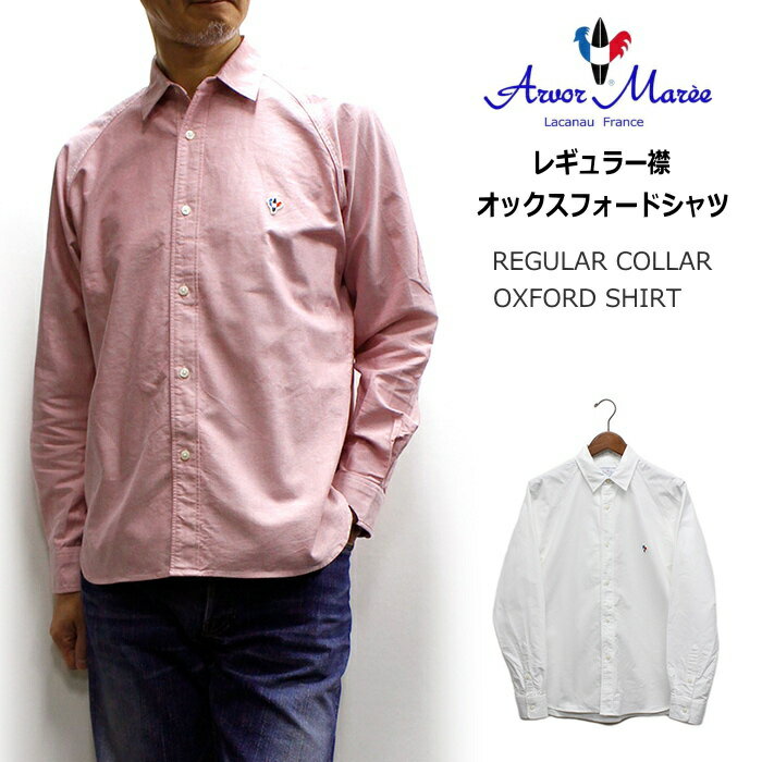 Arvor Maree(アルボー マレー) REGULAR COLLAR OXFORD SHIRT / レギュラーカラーオックスフォード長袖シャツ / 2024年春シーズン分