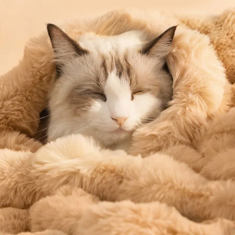 猫 ふわふわ ブランケット ペット ペット 厚手 毛布 ペットマット 暖かい 冷房対策...