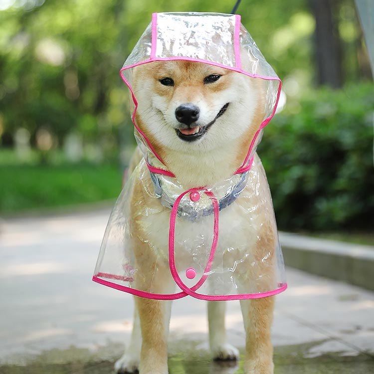 犬用 中小型犬 レインウエア クリア 雨具 アウトドア 犬用レインコート 犬用レイン...