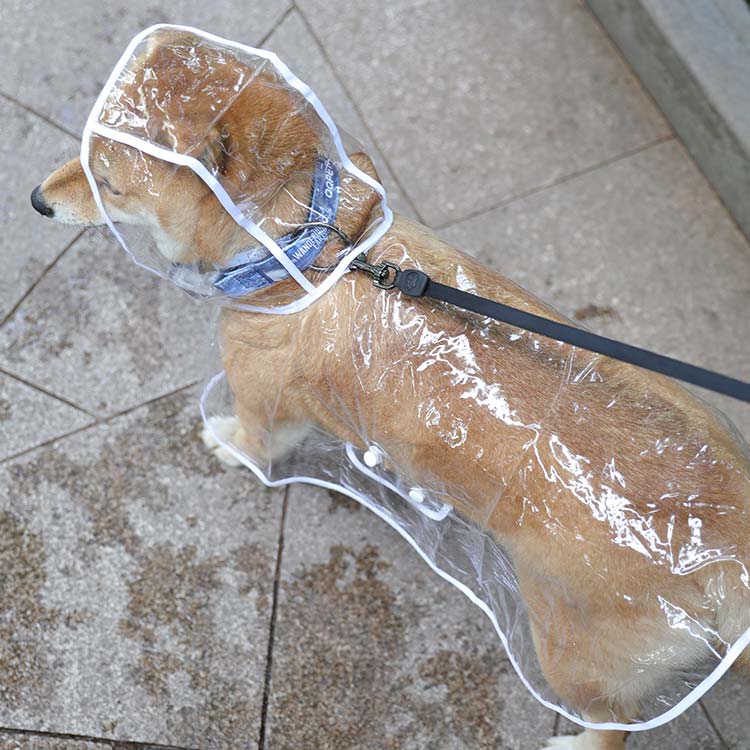 犬用 中小型犬 レインウエア クリア 雨具 アウトドア 犬用レインコート 犬用レイン...