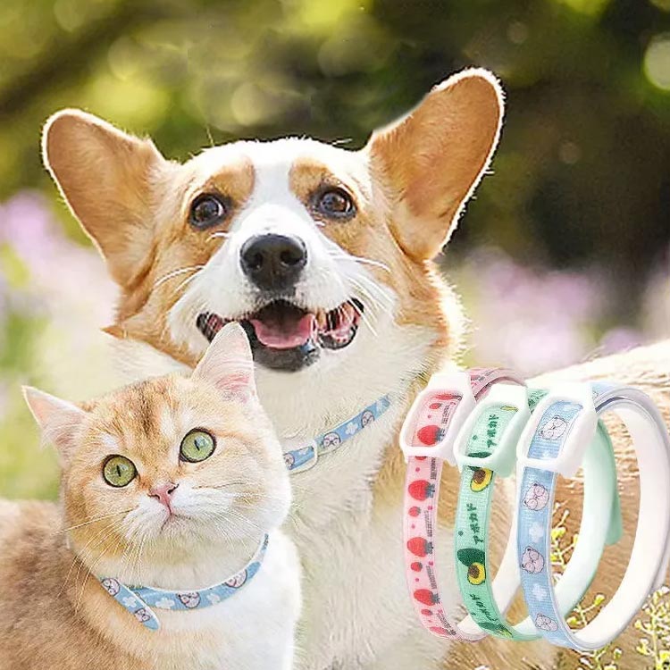 P-NEEDSの防虫 犬用 虫よけ首輪 寄生虫よけ 植物 猫用 ノミ取り ノミ除け ナイロン製 猫用首輪 天然成分 蚊よけ 安心 ペット首輪 可愛い ペット防虫首輪 犬用首輪 痛くない サイズ調節可能 防水 安全バックル 着脱簡単 予防 軽量 洗える 犬猫兼用 ダニ 蚊 2個セット｜アングル2