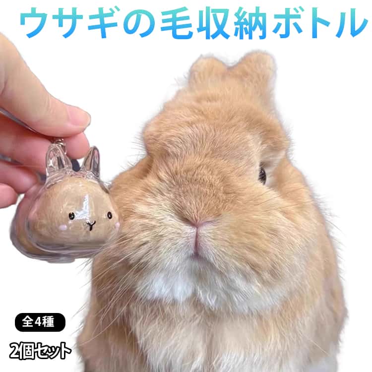 Key Holder - ウサギ ウサギの毛収納ボトル 2点セット ペット ウサギの毛 キーホルダー 透明 ケース 遺毛 兎 4タイプ ペット 毛 ウサギのキーホルダー 抜け毛収納 うさぎ キーホルダー付き 携帯