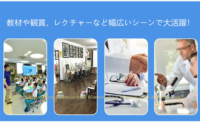 膝関節モデル 膝モデル 膝関節模型 ひざ 膝関節 靭帯 半月板 模型 医療 学習用 モデル 台座 固定 2