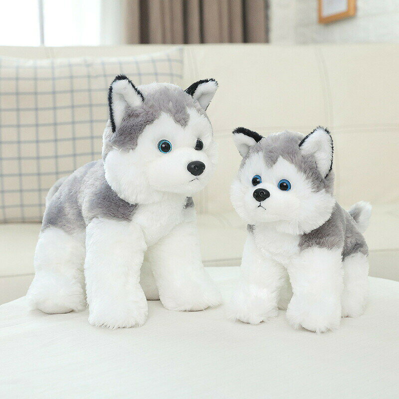 Rakuten - 送料無料 ぬいぐるみ ハスキー 犬 いぬ 抱き枕 クッション インテリア 御祝い 彼女 ギフト 女の子 おもちゃ 子供おもちゃ もこもこ 可愛い かわいい 彼女に ふわふわで癒される 柔らか 心地いい お誕生日 クリスマス ハロウィン プレゼント 楽天海外通販