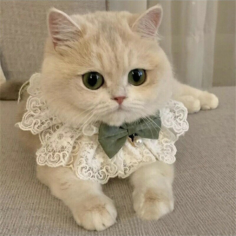送料無料 犬猫用よだれかけ かわいい 犬用スタイ 飾り 猫用 小型犬 唾液タオル ビ...
