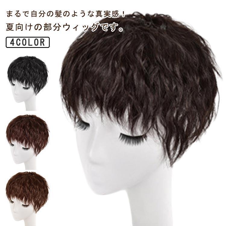 樂天商城 - ウィッグ ウェーブ 頭頂部 ヘアピース 部分ウィッグ つむじ付き ポイントウィッグ かつら エクステ 自然 ナチュラル 4カラー レディース クリップ