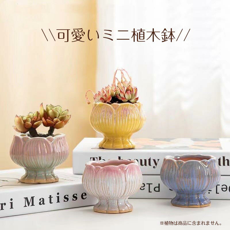 送料無料 ミニ植木鉢 おしゃれ アンティーク 陶器鉢 穴あり きのこ柄 プランター ...