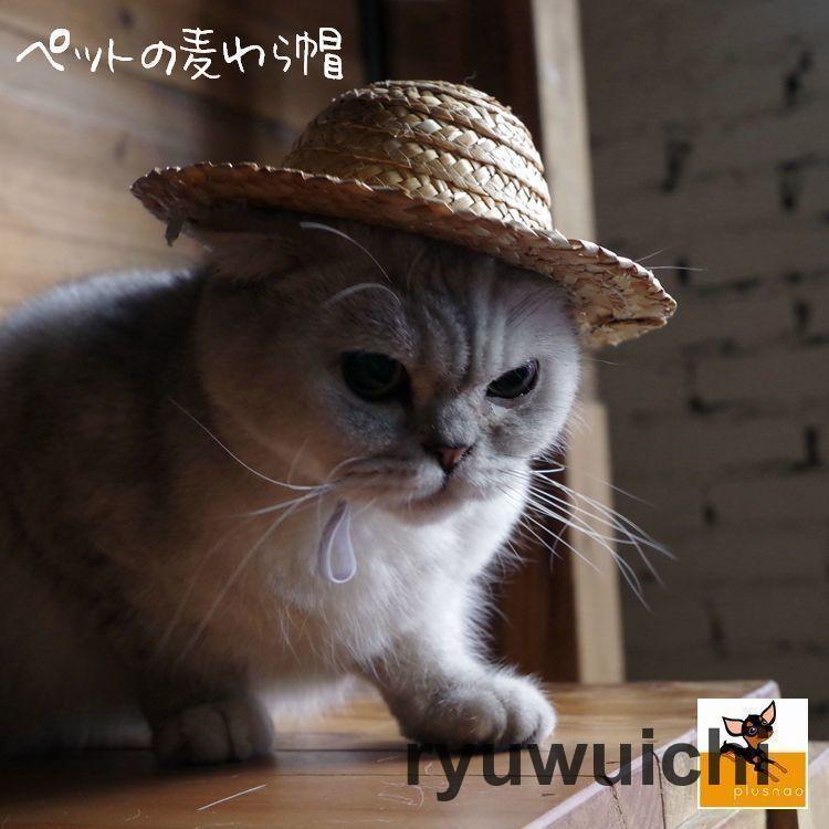 乐天商城 - ペット用品 猫ハット 帽子 麦わら帽子 かぶりもの ネコ CAT イヌ 犬 紫外線対策 ねこ おもちゃ 玩具 雑貨 グッズ 個性的 可愛い