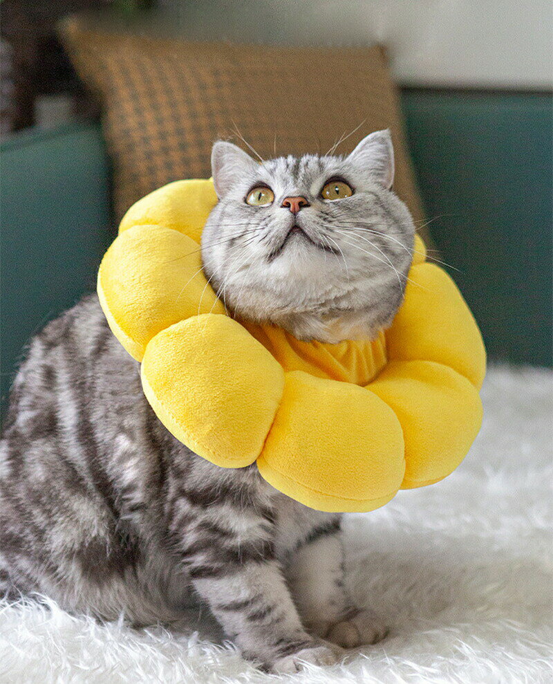 エリザベスカラー 猫用 犬用 ペット用品 傷舐め防止 去勢手術 ひまわり型 調節可能...