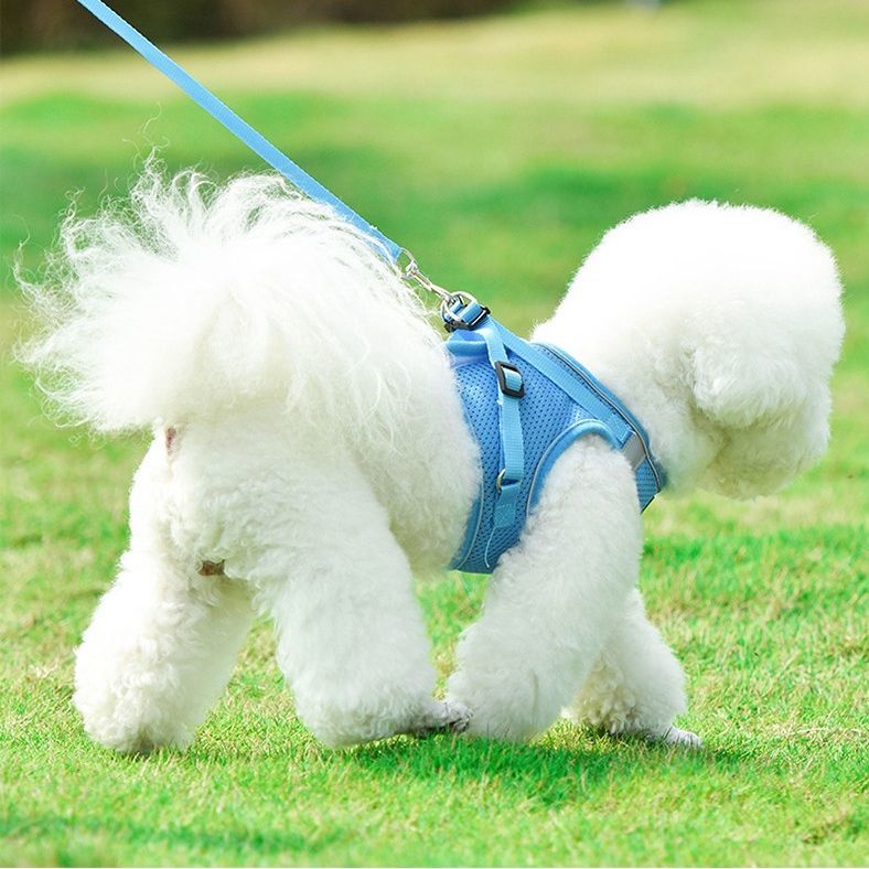 犬用ハーネス リードセット ペット用 リーシュ ワンちゃん用 胴輪 反射材付き 胸当...