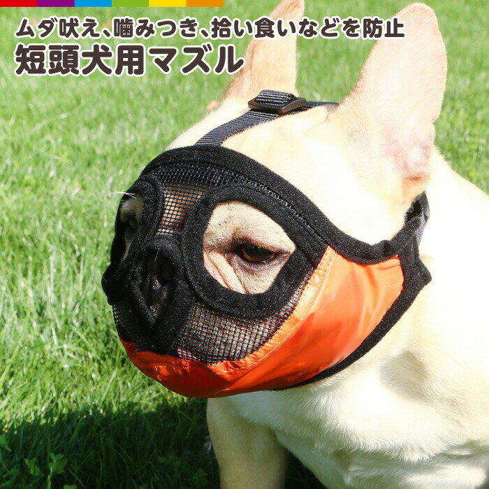 商品説明従来のマズルが付けれない鼻の短いワンちゃん用のマズルです。ムダ吠え、噛みつき、拾い食いなどを防止します。通気口もあり装着時の呼吸、視野も確保できます。汚れてもカンタンに洗い流せます◎安心してお散歩、病院での受診や美容室でのグルーミング、トリミングができます。フレンチブルドッグ パグ ボストンテリア シーズー ペキニーズ 等の犬種におすすめです。 素材PVC注意事項■測り方やロットによって若干のサイズ誤差が出ることがございます。予めご了承ください。■商品のお色は撮影時の環境、ディスプレイの発色などにより実物と多少の違いが生じることがございます。■入荷時期ロットによって、細部のデザインが予告なく変更される場合がございます。