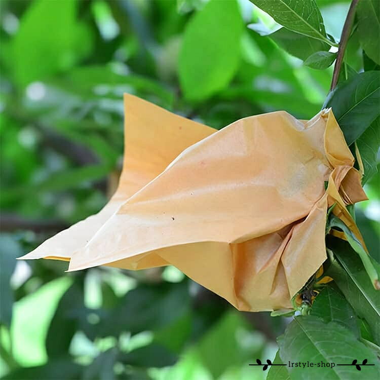 もも用 果実袋 厚手 200枚セット 防虫 200枚セット 園芸 防鳥 桃 固定しやすい 農...