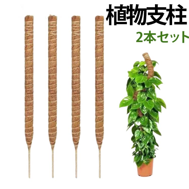2本セット 植物支柱 おしゃれ ヘゴ棒 観葉植物 モンステラ スティック ココスティック 園芸用 ガーデニング 植物サポート 維持水分 養分維持 植物支え 曲げられる トマト ポトス セローム 農業用 送料無料