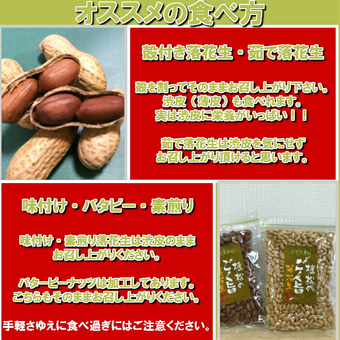 令和7年度産 新豆 素煎り落花生 千葉県産 落花生 むき実 塩味無し 無添加 千葉半立...