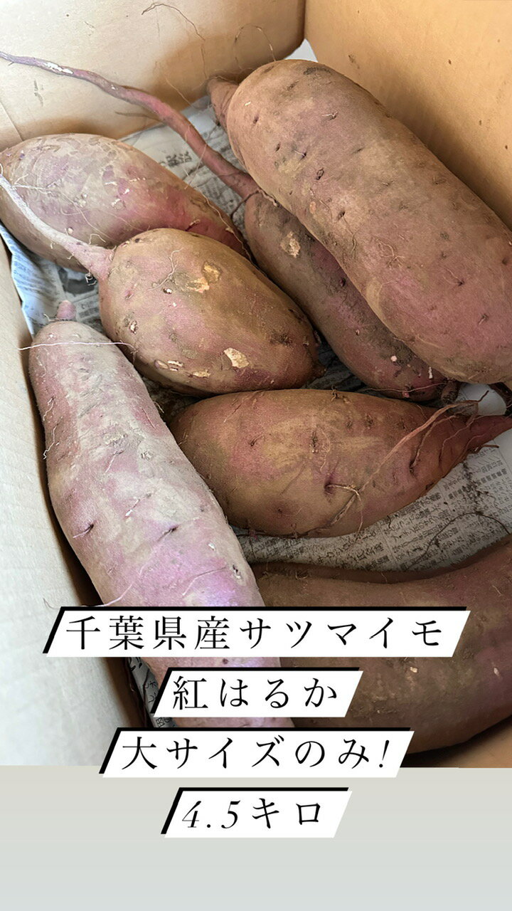 蜜たっぷり サツマイモ 紅はるか さつまいも 千葉県産 泥付き 4.5キロ サイズ大のみ 貯蔵済 焼き芋 ねっとり食感 しっとり食感 植松商店株式会社 植松商店 泥付き芋 リサイクル段ボール利用 送料込み 昨年大好評 新芋 甘薯