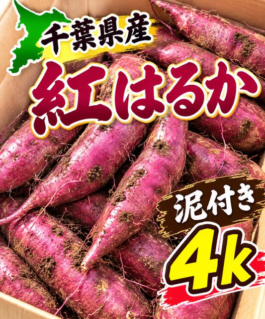 楽天市場】紅はるか 千葉の通販