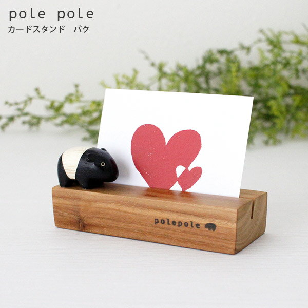 polepole ( ݤݤ )   ɥ / Х Ź ۡ бԲ/᡼Բ 