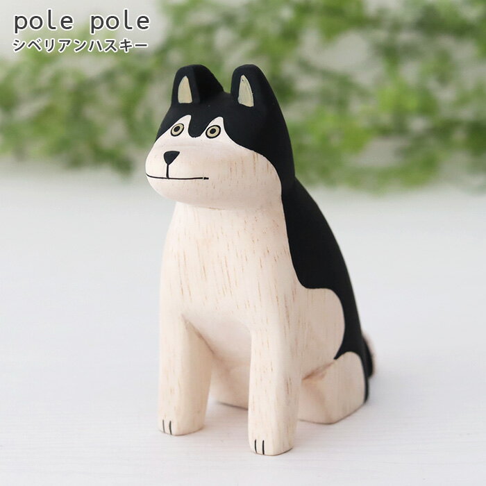polepole ( ݤݤ )   ݤݤưʪ ٥ꥢϥ Ź ۡ Բ/᡼Բ 