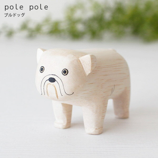 polepole ( ݤݤ )   ݤݤưʪ ֥ɥå Ź ۡ бԲ/᡼Բ 