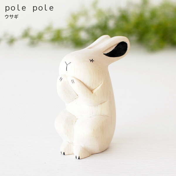 polepole ( ݤݤ )   ݤݤưʪ  Ź ۡ бԲ/᡼Բ 
