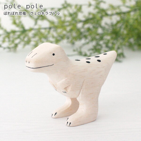 polepole ( ݤݤ )   ε / ץȥ롡 Ź ۡ бԲ/᡼Բ 