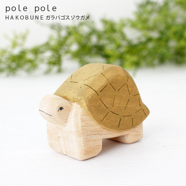 polepole ( ぽれぽれ ) 木製 雑貨 HAKOBUNE ハコブネ シリーズ / ガラパゴスゾウガメ　【 正規販売店 】【 熨斗対応不可/メール便不可 】