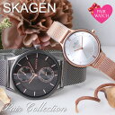 【ペア価格】ペアウォッチ スカーゲン 時計 SKAGEN 腕時計 メンズ レディース 男性 女性 セット カップル 恋人 夫婦 彼氏 彼女 プレゼント ペア ウォッチ ギフト 記念日 誕生日 人気 ブランド おすすめ 定番 シンプル 薄型 生活 防水 金属 メタル ベルト メッシュベルト