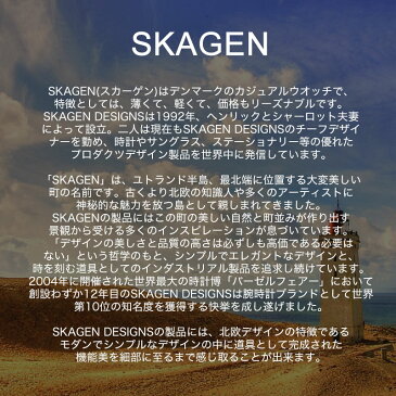 【当店限定】スカーゲン 腕時計 SKAGEN 時計 スカーゲン時計 アニータ レディース ローズ ゴールド 人気 ブランド おすすめ おしゃれ 北欧 シンプル 革ベルト レザー 金属 メタル ベルト メッシュベルト 小さめ 華奢 小ぶり 社会人 恋人 彼女 妻 誕生日 記念日 プレゼント