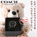 【誕生日 プレゼント 専用】コーチ 腕時計 レディース ブランド COACH 時計 コーチ時計 ペリー perry 女性 恋人 彼女 妻 奥さん シルバー ブラ...