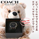 【誕生日 プレゼント 専用】コーチ 腕時計 レディース ブランド COACH 時計 コーチ時計 ペリー perry 女性 恋人 彼女 妻 奥さん シルバー ブラック 人気 おしゃれ レザー 革ベルト ピンクゴールド ローズ ゴールド シンプル 華奢 薄型 軽量 プレゼント かわいい 可愛い