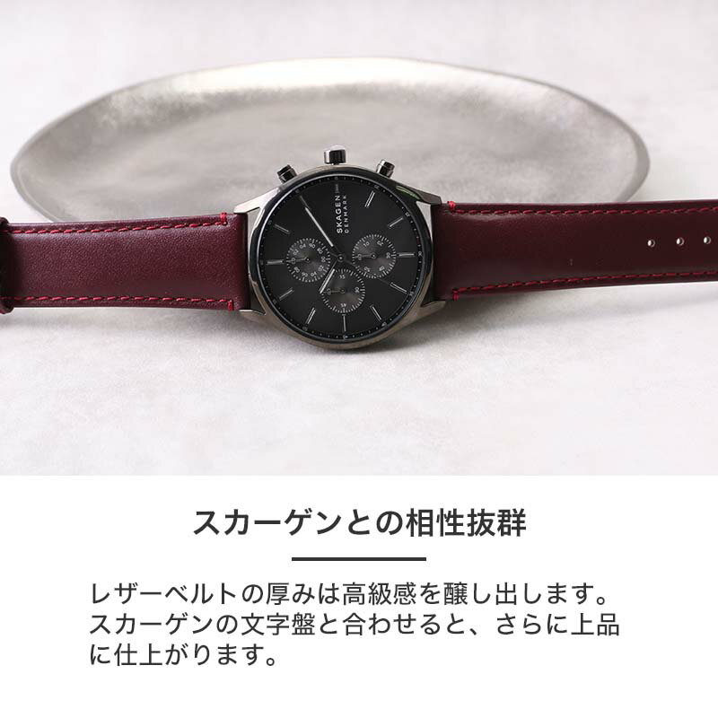 楽天市場】【当店 限定】スカーゲン メンズ 時計 SKAGEN 腕時計