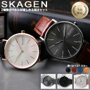 【当店限定 2種類のベルトセット】スカーゲン メンズ 時計 SKAGEN 腕時計 SIGNATUR 男性 向け プレゼント ギフト 人気 ブランド おすすめ 定...
