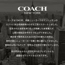 コーチ 腕時計 レディース ブランド COACH 時計 コーチ時計 コーチ腕時計 女性 彼女 妻 奥さん 恋人 娘 誕生日 記念日 プレゼント 人気 定番 おしゃれ レザー ベルト 革 革ベルト メッシュベルト ピンクゴールド ローズ ゴールド シンプル 軽い 華奢 薄型 かわいい 仕事 2