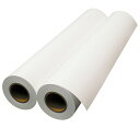 【お取寄せ品】 エプソン 普通紙ロール(薄手) 44インチロール 1118mm×50m 2インチ紙管 EPPP6444 1箱(2本) 【送料無料】