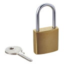 エレコム セキュリティロック用南京錠 ESL-NK 1個