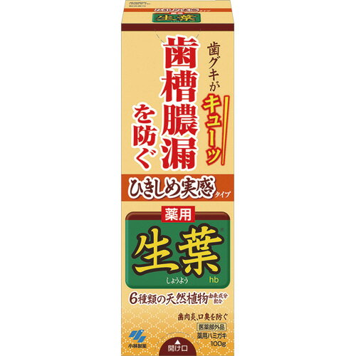  小林製薬　生葉　ひきしめ実感タイプ　100g　1個