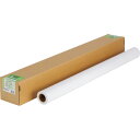 【お取寄せ品】 桜井 光沢白PET 42インチロール 1067mm×20m 135μ PETG1067 1本 【送料無料】