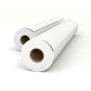【お取寄せ品】 オストリッチダイヤ リッチライトゴールド55 420mm×200m 3インチ芯止め フ−0842−2 1箱(2本) 【送...