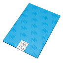 【お取寄せ品】 桜井 Zトレースター Z−300.D A2 3ZD02 1冊(100枚) 【送料無料】