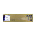 【お取寄せ品】 エプソン プロフェッショナルフォトペーパー(薄手光沢) A2ロール 420mm×30.5m PXMCA2R12 1本 【送料無料】