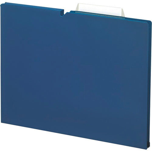 コクヨ　個別フォルダー（NEOS）　PP製　A4　マチ幅15mm　ネイビー　A4P－NEF15DBX10　1パック（10冊）