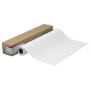 【お取寄せ品】 キヤノン フォト光沢紙(厚口) LFM−GPH/42/255 42インチロール 1067mm×30m 4377B002 1本 【送料...