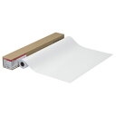 【お取寄せ品】 キヤノン フォト光沢紙(薄口) LFM−GPH/A0/170 A0ロール 841mm×30m 4379B006 1本 【送料無料】