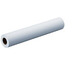 【お取寄せ品】 エプソン クリアプルーフフィルム 24インチロール 約610mm×30.5m WXCPF24R 1本 【送料無料】