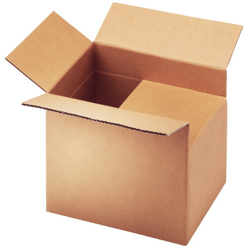 TANOSEE̵ϥܡȢA4SS˥Aե롼ȡ⤵Ĵס1ѥå10