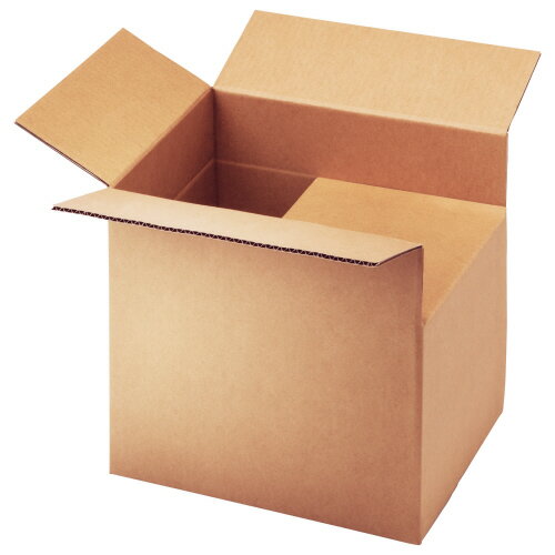 TANOSEE̵ϥܡȢB4S˥Aե롼ȡ⤵Ĵס1ѥå10